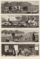 Vita Agricola in Canada, II